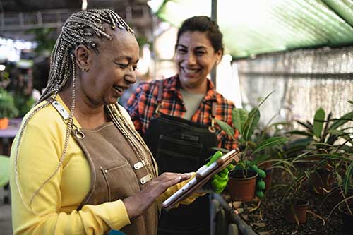 Two gardeners working together in a greenhouse