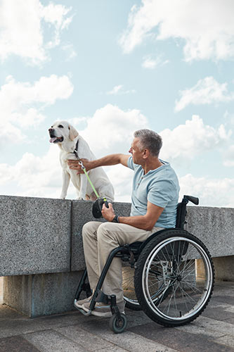 Man in a wheelchair taking his dog for a walk