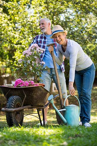 Senior couple gardening in their backyard